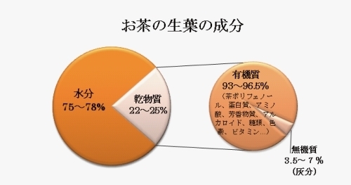 graph1-1.jpg