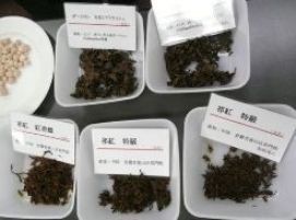 茶殻.jpg