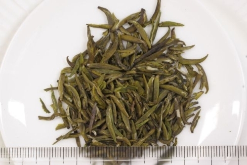 13　2009年度　蒙頂黄芽.jpg