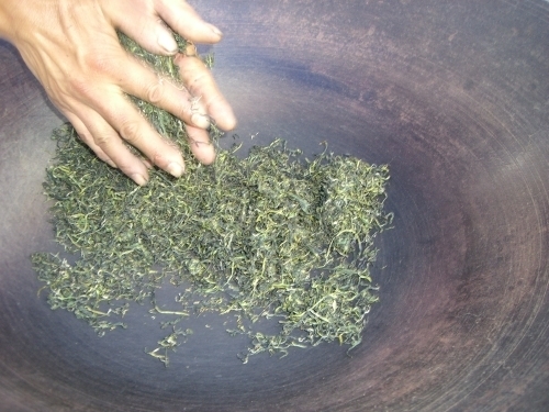 緑茶製茶 (2).JPG